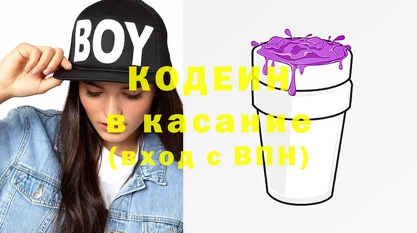 прущие грибы Балахна