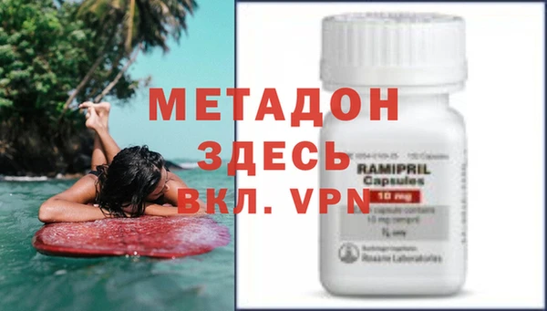 прущие грибы Балахна