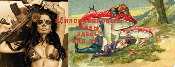 шишки Балабаново