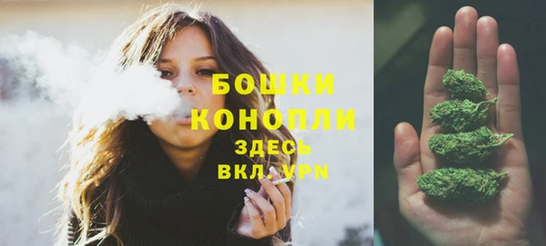 прущие грибы Балахна
