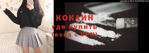 прущие грибы Балахна