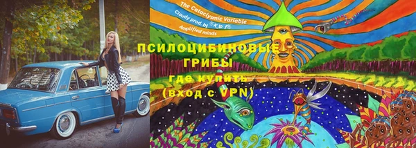 шишки Балабаново