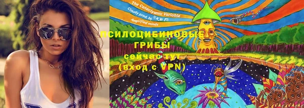 прущие грибы Балахна