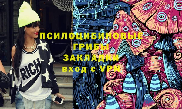 прущие грибы Балахна