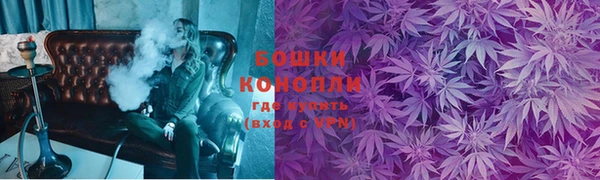 прущие грибы Балахна