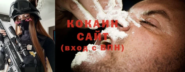шишки Балабаново