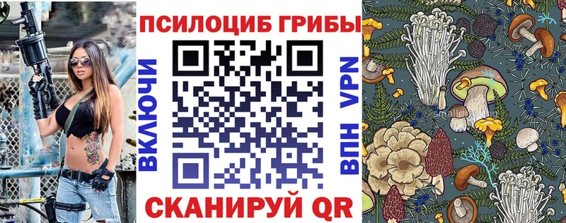 купить сайты Щучье Псилоцибиновые грибы мухоморы